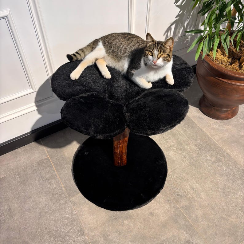 Multi-level cat furniture with bed and toys