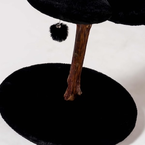 Stylish pet supplies for cat lovers