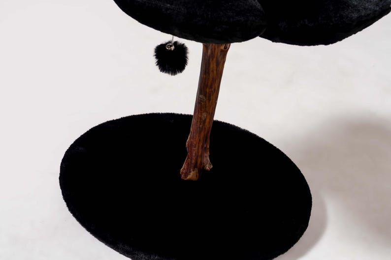 Stylish pet supplies for cat lovers
