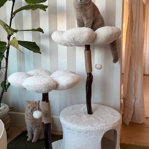 Könnte beinhalten: Ein zweistöckiger Katzenbaum mit weißen, blütenförmigen Plüschplattformen, dunkelbraunen Holzstämmen mit beigem Sisalseil und einer weißen Plüschbasis mit rundem Eingang. Eine graue Katze sitzt auf der oberen Ebene, eine beige Katze unten.