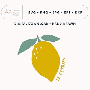 Archivo de trazador de limón SVG | Lima de corte de frutas | Imágenes prediseñadas de frutas | Plantilla de trazador de gráficos vectoriales para niños |  Archivo Cricut para máquina de corte