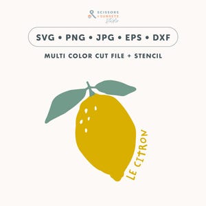 Plotterdatei Zitrone SVG | Schneidedatei Obst | Früchte Clip Art | Vektorgrafik Plotter Vorlage Kinder |  Cricut Datei für Schneidemaschine