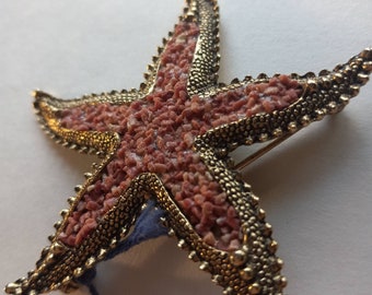 Vintage Starfish Brooch Pin Bermuda Crushed Coral 1960s