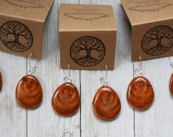 Wood Earrings in Oregon Yew