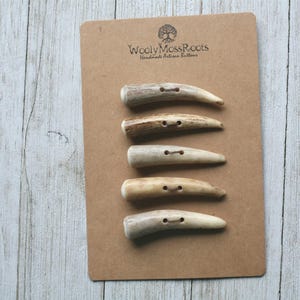 Puede incluir: Cinco botones de cuerno de ciervo se muestran en una tarjeta marrón con el texto "Woolly Moss Roots Handmade Artisan Buttons" y un logotipo de árbol. Los botones son de color marrón claro con dos agujeros cada uno, y tienen forma de cuernos curvos. El fondo es de madera clara.