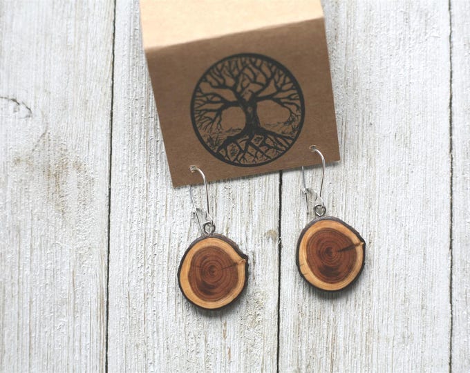 Handmade Wood Earrings in Yew
