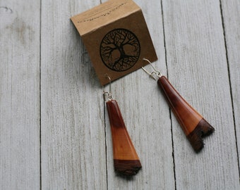 Mountain Mahogany Wood Earrings