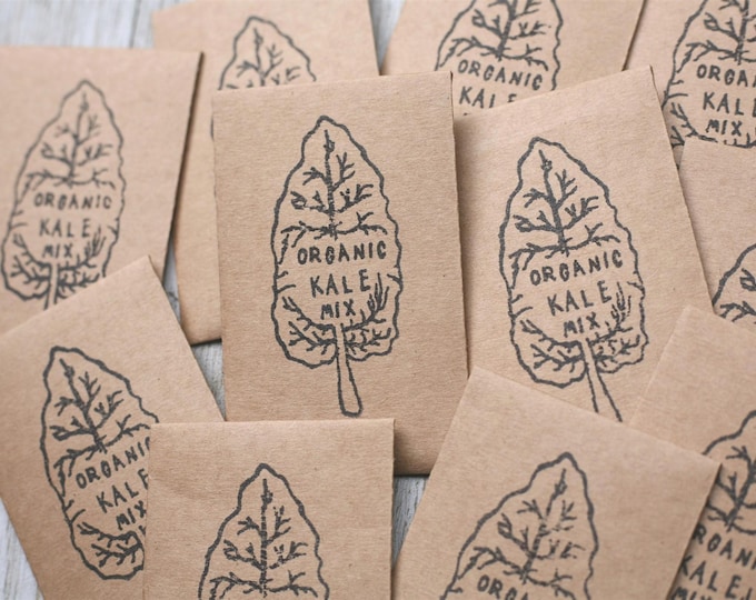 Organic Kale Seeds