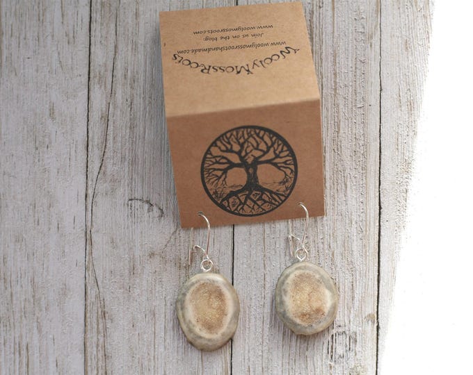 Handmade Earrings in Shed Deer Antler