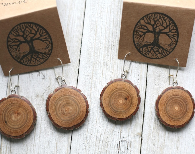 Handmade Earrings in Sassafras Wood
