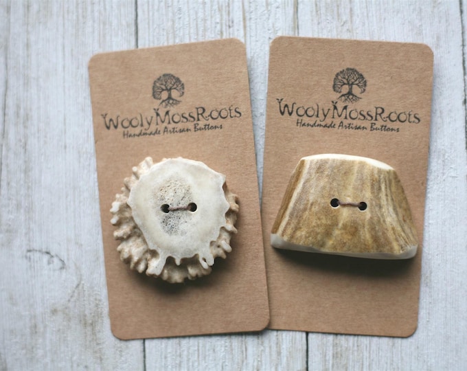 2 Buttons in Shed Deer Antler