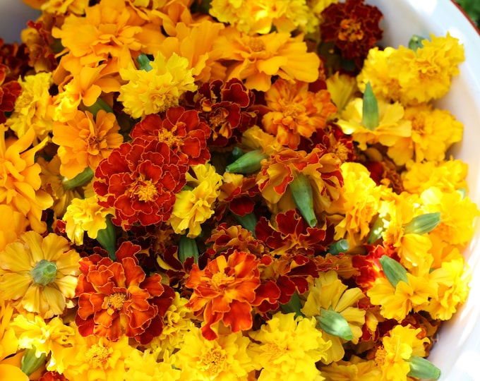 Organic Marigold Seeds