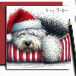 OLD ENGLISH SHEEPDOG Biglietto di Natale (pisolino). Un biglietto di Natale per ogni proprietario di Old English Sheepdog, genitore di cane, famiglia, amico o toelettatore per cani