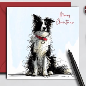 Weihnachtskarte BORDER COLLIE (redcollar) Eine Weihnachtskarte für jeden Border Collie Hundebesitzer, Hundeelternteil, Familie, Freund oder Hundefriseur