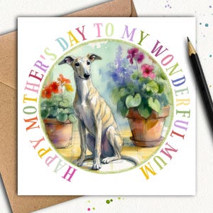 Cartão de Dia das Mães do CÃO WHIPPET (Jardim) Um cartão de Dia das Mães do leal e adorável Whippet, um lindo cartão para dar à mamãe este ano