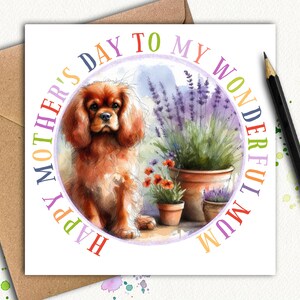 Carte de fête des mères CAVALIER KING CHARLES, chien rouge rubis (jardin) Une carte de fête des mères représentant le beau cavalier, à offrir à une maman cette année