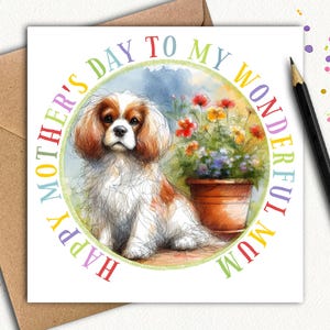 Carte de fête des mères CAVALIER KING CHARLES Chien Blenheim (jardin) Une carte de fête des mères du beau cavalier, belle à offrir à une maman cette année