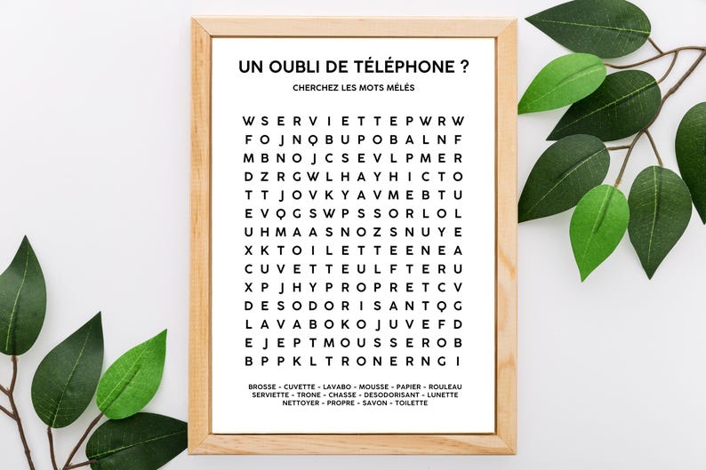 May include: A printable word search puzzle in a wooden frame. The puzzle is titled "Un Oubli de T&eacute;l&eacute;phone?" and asks the user to find the words hidden in the grid. The words are listed below the puzzle, including "Brosse", "Cuvette", "Lavabo", "Mousse", "Papier", "Rouleau", "Serviette", "Trone", "Chasse", "D&eacute;sodorisant", "Lunette", "Nettoyer", "Propre", "Savon", and "Toilette."