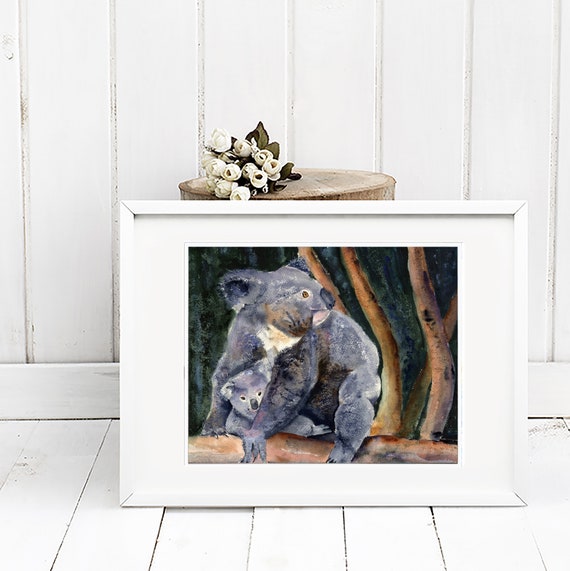Koala shop sport offerte