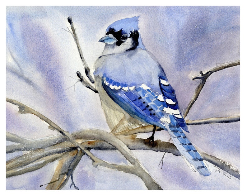 Blue Jay Wall Art Watercolor Blue Jays Bird Watchers Etsy
