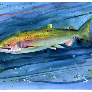 Fish Watercolor Print Salmon Swimming Painting Wall Art