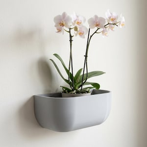 Wall Planter – Minimalist 3D Printed Orchid Pot, Modern Indoor Wall Mount