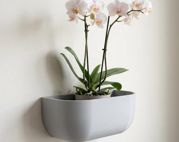Wall Planter – Minimalist 3D Printed Orchid Pot, Modern Indoor Wall Mount