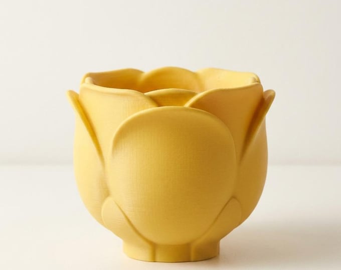 Tulip Planter – Flower Pot for Succulents, Small Indoor Plant Pot, Cute Desk Decor