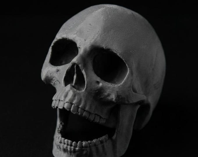 Skull Aquarium Decoration – 3D Printed Fish Tank Cave, Skull Hide for Fish and Shrimp