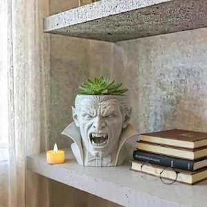 May include: A gray vampire head planter with a green succulent plant. The planter has an open mouth and a white collar. A small candle and a stack of books are on the shelf.