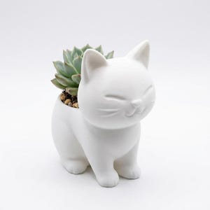 Cat Succulent Planter – Kawaii Chibi Cat Plant Pot, Small Animal Desk Decor