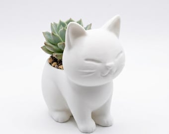 Cat Succulent Planter – Kawaii Chibi Cat Plant Pot, Small Animal Desk Decor