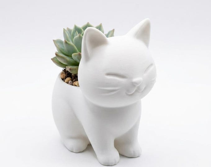 Cat Succulent Planter – Kawaii Chibi Cat Plant Pot, Small Animal Desk Decor