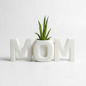 Snug MOM Suckulent Planter – Hjärtlig mors dag-present till växtälskande mammor, Mysig skrivbordskruka