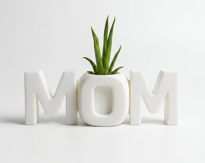 MOM Succulent Planter – Cozy Desktop Plant Pot for Plant Lovers