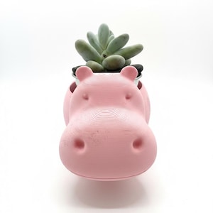 May include: A pink hippo-shaped planter with a succulent plant. The planter has a detailed, textured surface and features a small, round opening for the plant. The succulent has green leaves and is planted in a small pot.
