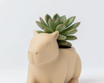 Succulente plantenbak capibara – schattige dierenpot voor bureaudecor, 3D-geprinte plantenbak voor binnen