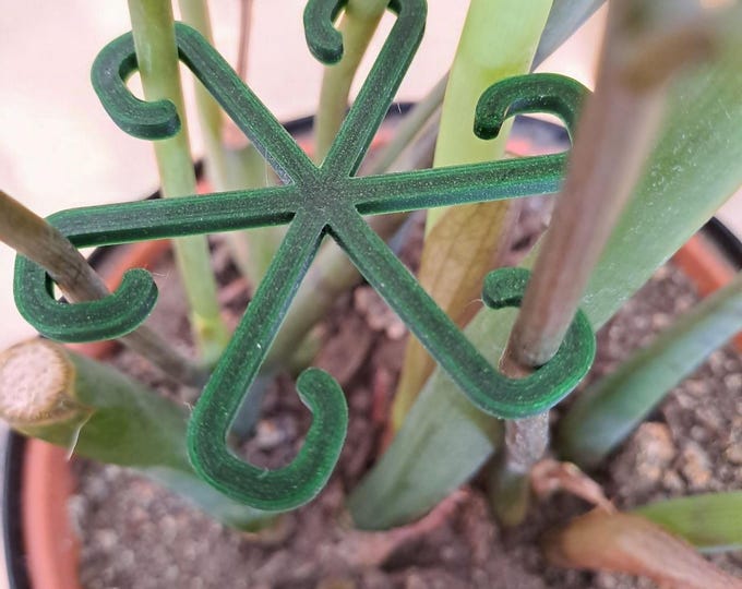 Minimalist Plant Support Stakes: Eco-Friendly Trellis Clips for Vining Plants