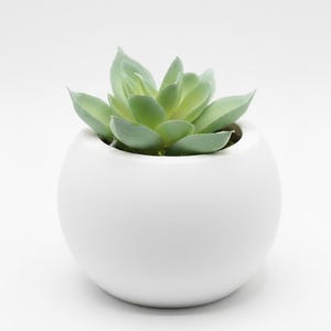 Maceta Suculentas 3D Impresa 3" – Decoración Hogar Minimalista Moderna, Macetero Escritorio Interior