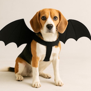 Patrón de costura para disfraz de alas de murciélago para perro: Traje de Halloween para mascotas (PDF)