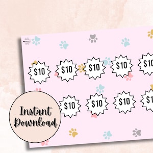 Mini Savings Challenge Bundle Set of 5 Save Over 250 Dollars Low Income Saving Budgeting Beginners Cash Envelope Stuffing Personal Finance