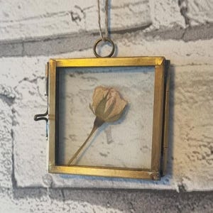 Dried Pink Rose in a 5 x 5cm Brass Hanging Frame | Good Luck Gifts | Best Friend