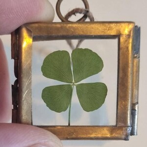 Tiny 4 Leaf Clover in a 2.5cm x 2.5cm Brass Hanging Frame | Good Luck Gifts
