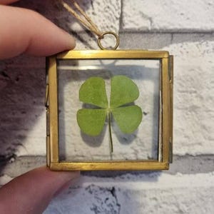 Quadrifoglio essiccato in una cornice in ottone da appendere 5 x 5 cm / Regali portafortuna / Idee regalo per i migliori amici