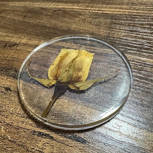 Yellow Rose Resin Circle | Gifts For Her | Resin Flowers Dried | Herbarium