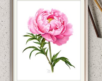 Piwonia, ręcznie malowana akwarelą, botaniczna grafika ścienna, kwiat urodzony w listopadzie, Skorpion, 12. rocznica ślubu, prezent poniżej 30 dolarów