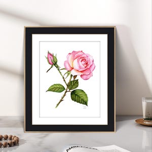 A stunning, realistic hand-painted watercolor of a rose in full bloom, with delicate pink and cream tones blending seamlessly to create lifelike depth and texture. Each petal is carefully detailed, showing natural gradients and soft shading.