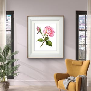 A hand-painted watercolor of a blooming rose, featuring soft, blended shades of pink and cream with intricate detailing in the petals and leaves displayed in an elegant gold frame, which enhances the artwork's sophistication and timeless appeal.