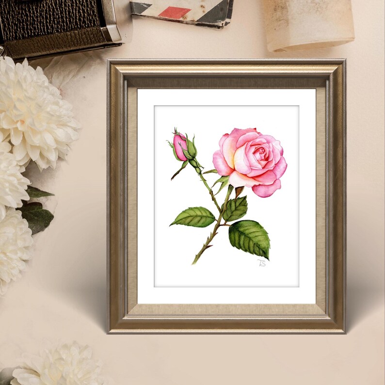 A realistic hand-painted watercolor of a vibrant rose, with soft shades of pink and green delicately blended to capture the flower's intricate details. It is displayed in an elegant table frame, showcasing the painting in a small, personal space.