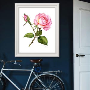 A realistic hand-painted watercolor of a rose, showcasing soft pink petals with subtle gradients of color and fine detail in the leaves. The painting is elegantly displayed in a white frame that enhances its timeless aesthetic, adding a modern touch.